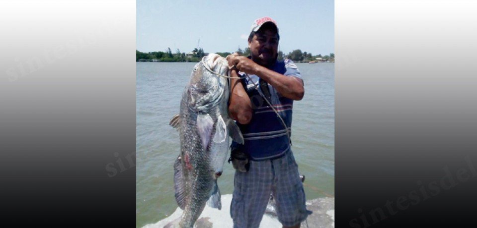 Increíble captura de pez gigante sorprende a pescadores y pobladores en Pueblo Viejo
