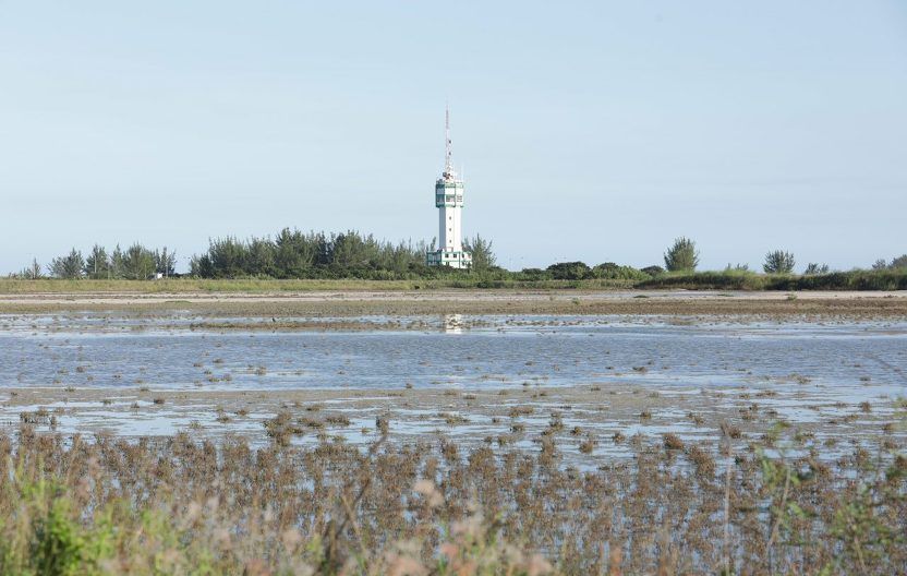 Aseguran la PGJT y la Fiscalía Especializad (1)