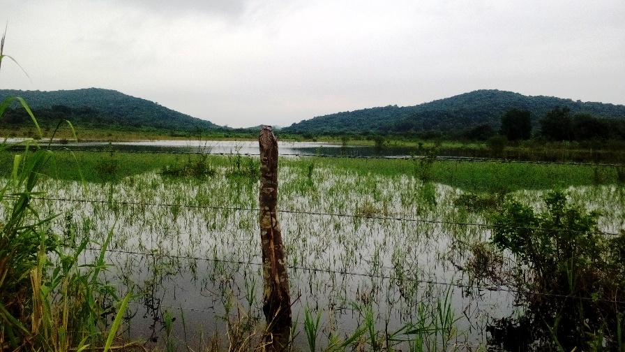 Cientos de familias resultaron afectadas por inund (2)
