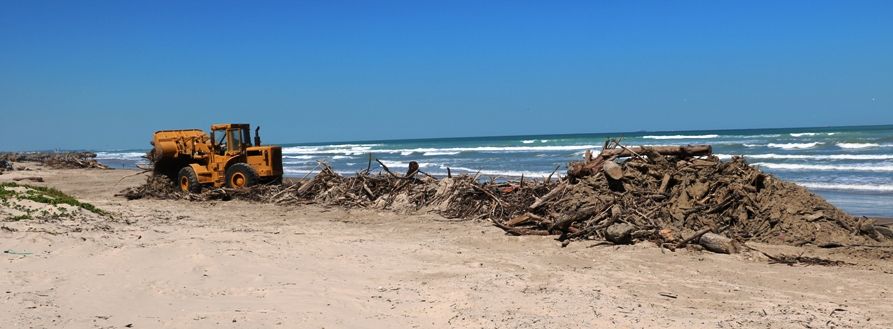 Playa Miramar recibe trabajos permanentes de limpieza