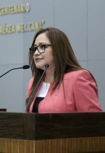 Proponen que Tamaulipas cuente con (2)