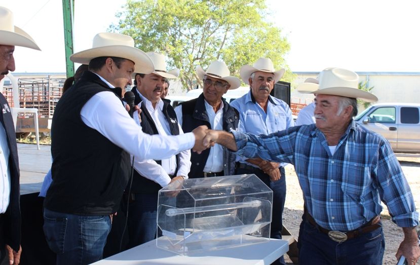 Subsidia Gobierno de Tamaulipas más de 2 mil sementales c (2)