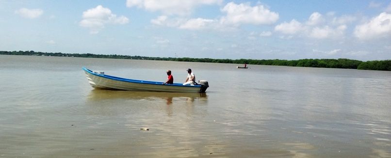 Afecta veda de camarón a pescadores; sobr (1)