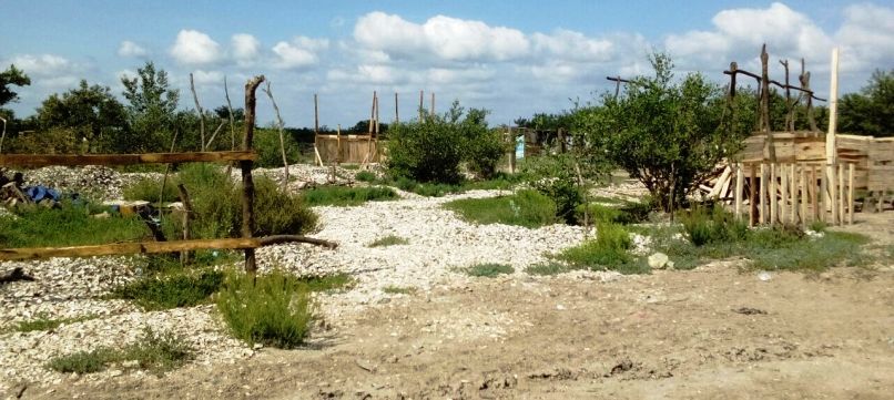 Más de 250 paracaidistas invaden pr (1)