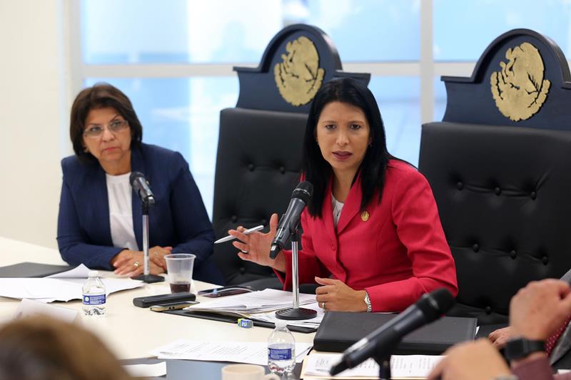 3 Dip. Mónica González