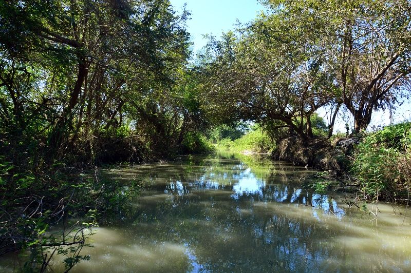 ????????????????????????????????????