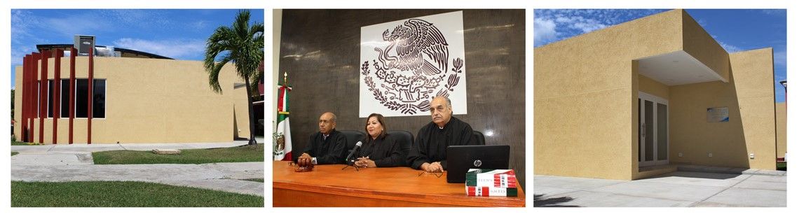 JUICIOS_ORALES_1 (1)j