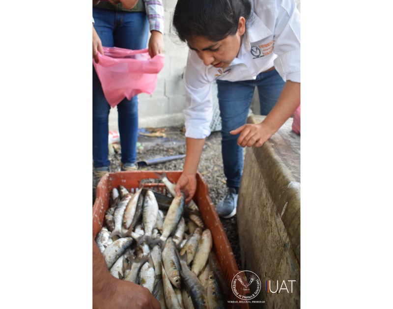 Lorena-Garrido-Olvera