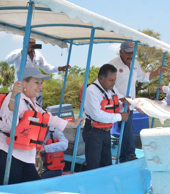 ????????????????????????????????????