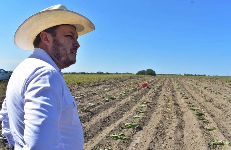 SRU-036-2018.-Sábila, una opción exitosa de reconversión de cultivos (1)