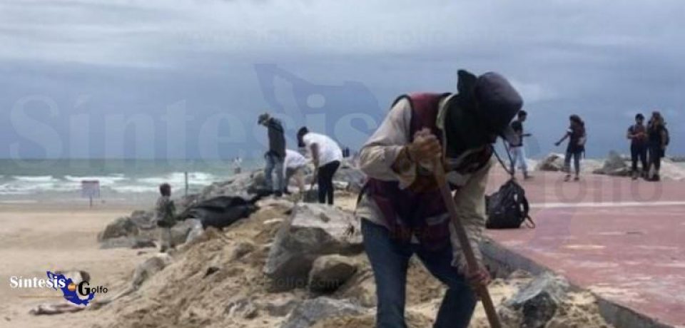 Intensifican acciones de limpieza en playa Miramar 
