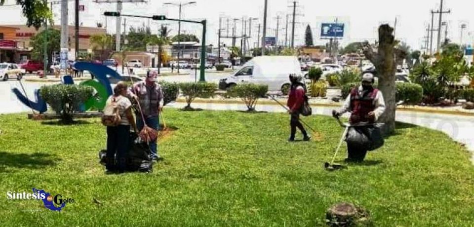 Gobierno de Madero continúa con trabajos de limpieza y cuidado de áreas verdes