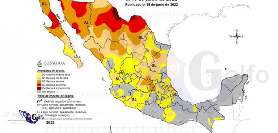 La sequía causante de afectaciones en los ecosistemas en Tamaulipas