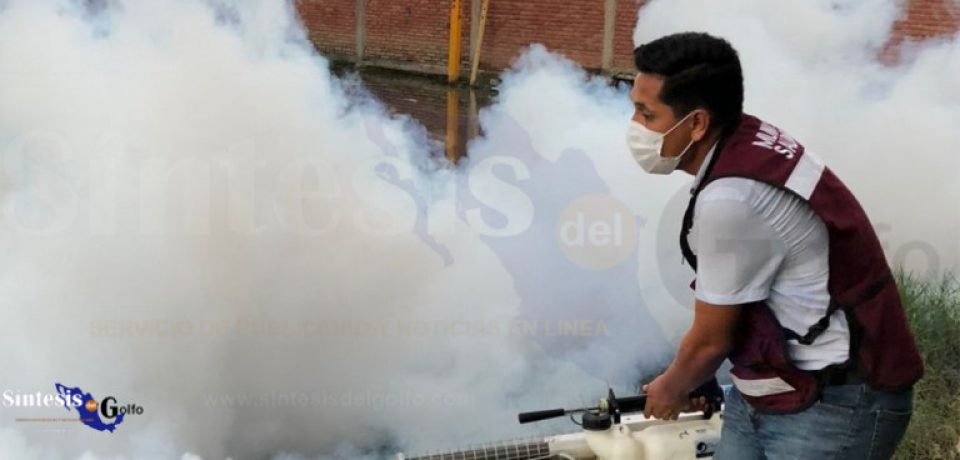 Llevan Jornadas de Fumigación por Termonebulización a colonias de Ciudad Madero