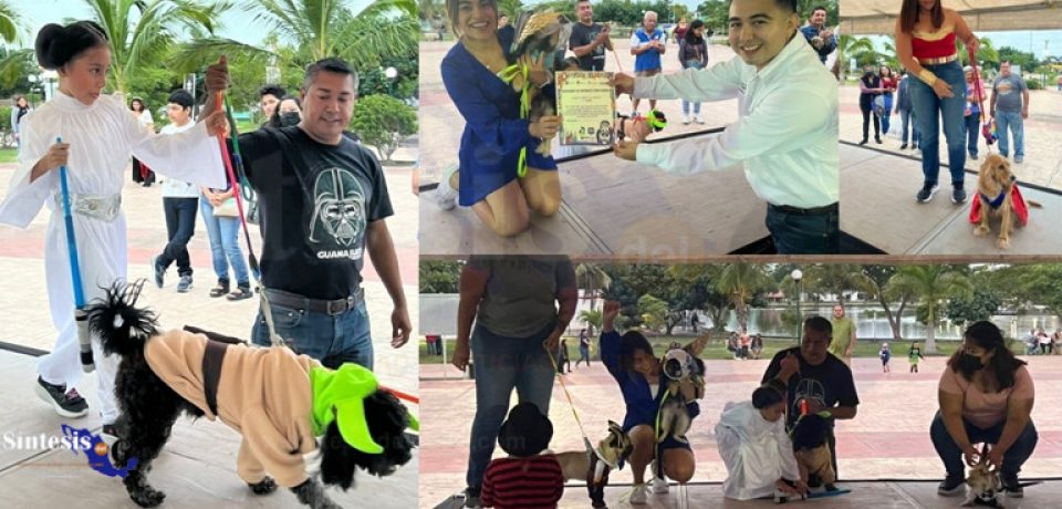 Gobierno de Ciudad Madero realiza con éxito Concurso de disfraces para perritos.