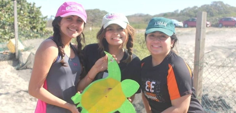 Invitan a participar en el Festival de la Tortuga Marina en Pueblo Viejo, Veracruz