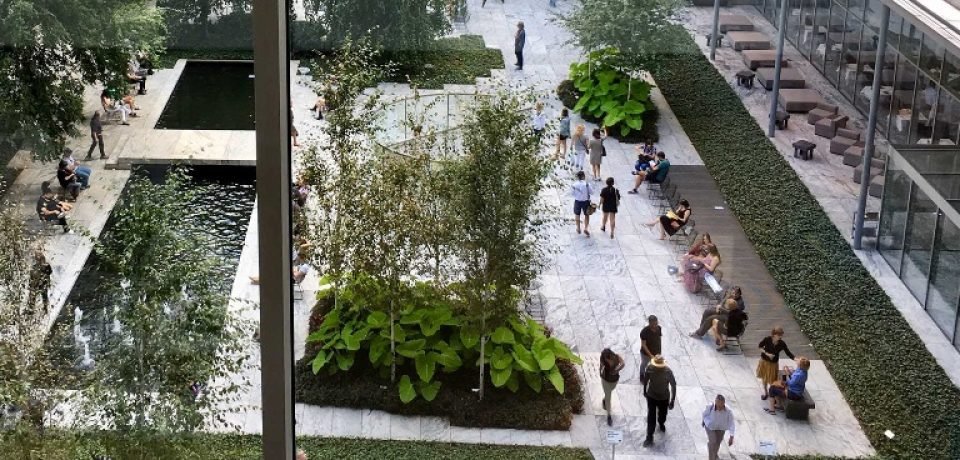 Conoce las 10 tendencias de la Arquitectura y el Diseño Sustentable