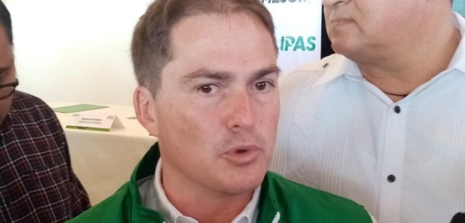 Integrantes del Partido Verde exigen no usar recursos públicos para promover aspirantes
